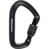 Black Diamond HotForge Screwgate Carabiner