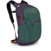 Daylite Plus -Camp Life Shop dayltpluss21 f22 side axogreenenchantmentpurple 1