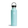 Hydro Flask 21 Oz Standard Mouth Water Bottle