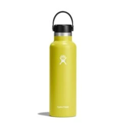 Hydro Flask 21 Oz Standard Mouth Water Bottle -Camp Life Shop s21sx752 cactus straighton