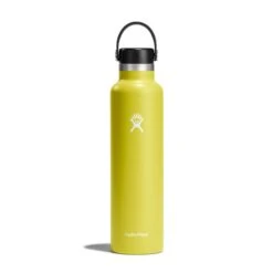 Hydro Flask 24 Oz Standard Mouth Water Bottle -Camp Life Shop s24fs752 cactus straighton
